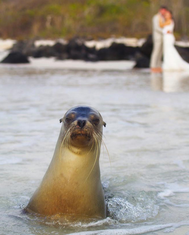 destination wedding galapagos